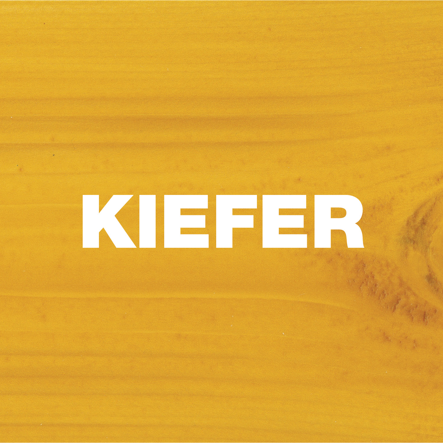 Kiefer